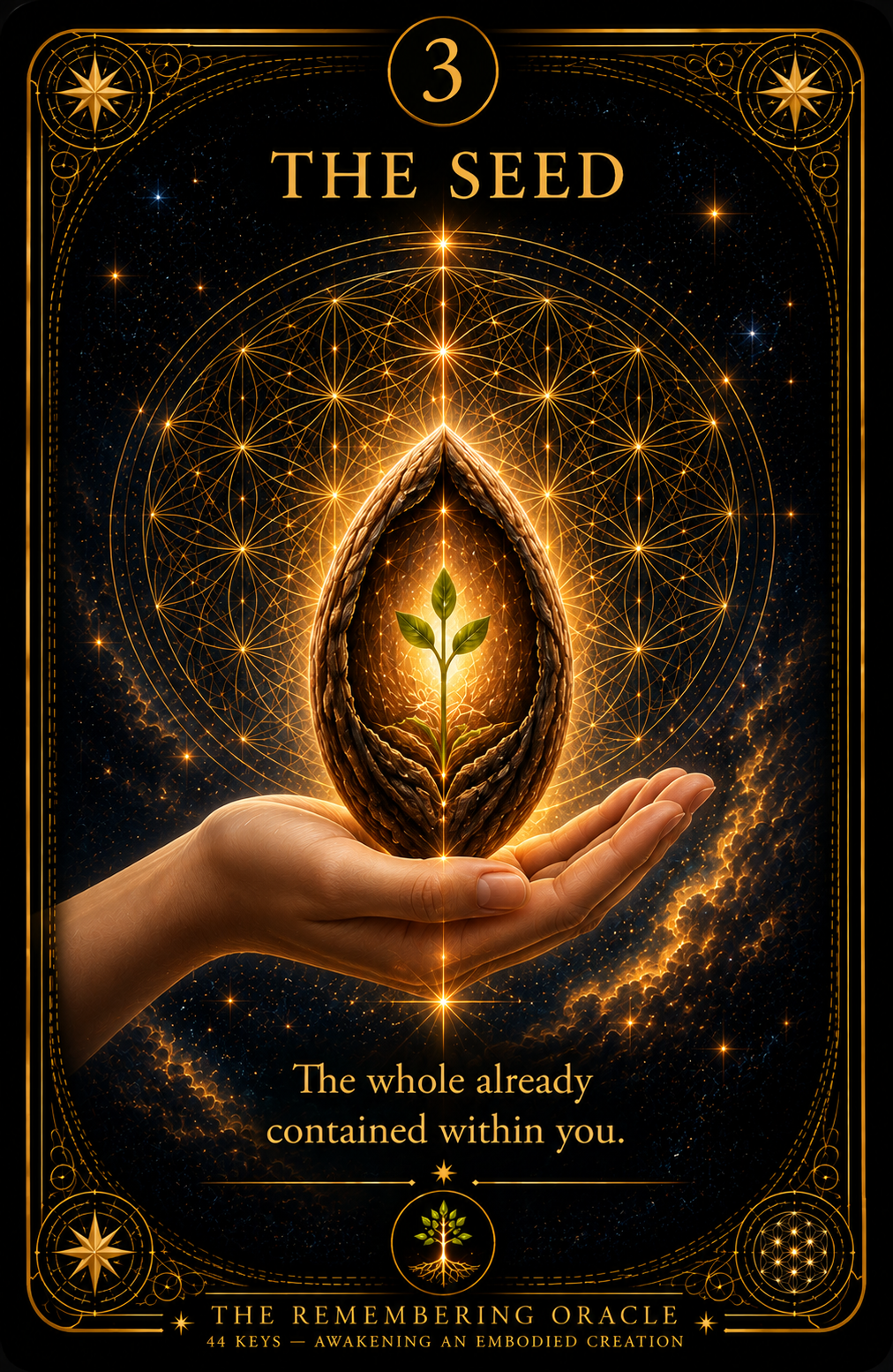 Card 3: THE SEED